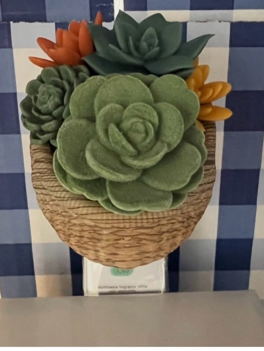 Bath body Works succulent, wall basket, scent  control wall plug wallflowers NWT